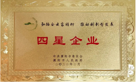 乐玩(中国)公司荣获地市两级“工业四星企业”荣誉称号